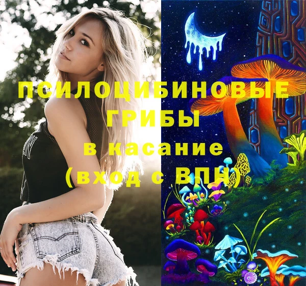 дживик Лихославль
